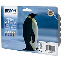 Картридж Epson StPhoto RX700 Bundle (Bk,C,M,Y,LC,LM)